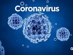 Artigo – Conjur – Coronavírus e o “Direito Administrativo da crise”