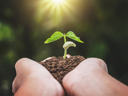 Artigo – A ata notarial como instrumento ambiental e urbanístico