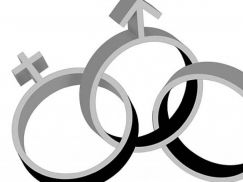 Artigo – Migalhas – Alteração do regime de bens do casamento – Por Marina Aidar de Barros