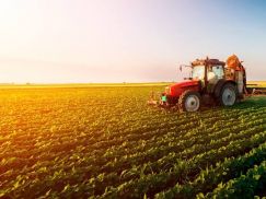 Artigo – A operação Barter garantida por cédula de produto rural – Por Izaías G. Ferro Júnior