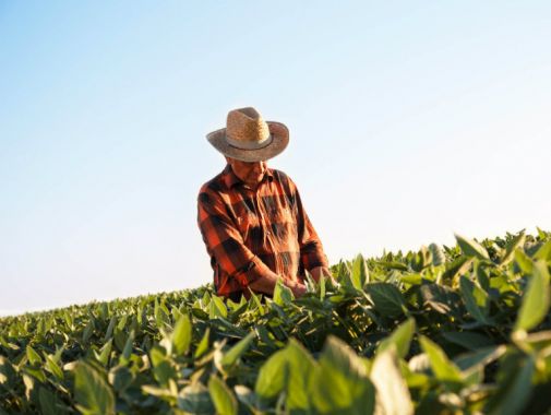 Clipping – Direito Rural – Patrimônio rural em afetação sob a ótica do registrador de imóveis