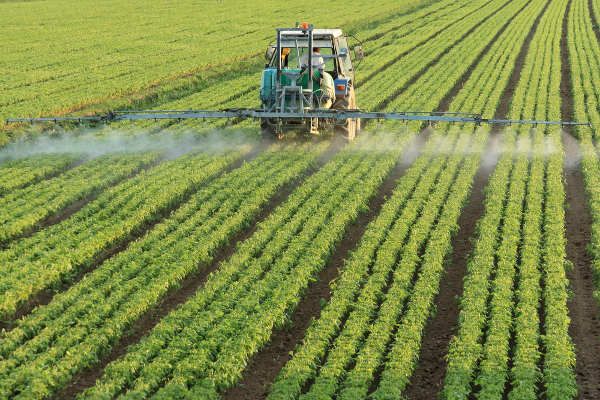 Senado – Aprovado acordo internacional sobre apoio às exportações agrícolas