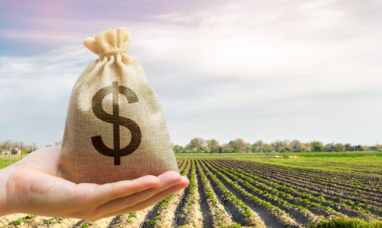 Informativo de Jurisprudência destaca cédula de crédito rural hipotecária