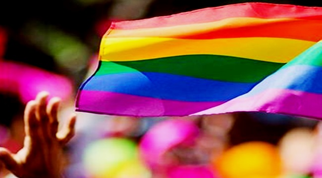 Artigo – Avanços e desafios dos direitos das pessoas trans no Brasil