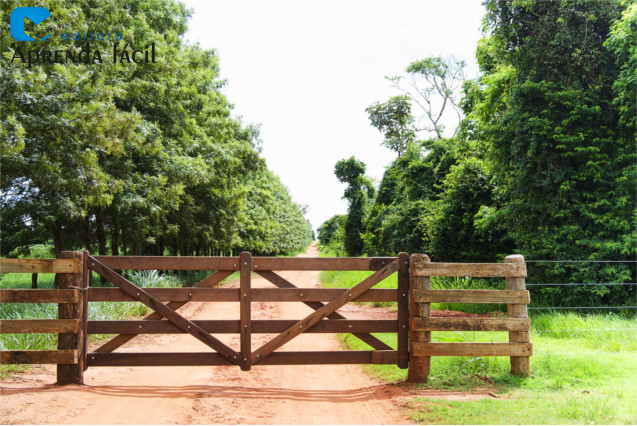 STJ No Seu Dia fala sobre a usucapião de imóvel rural
